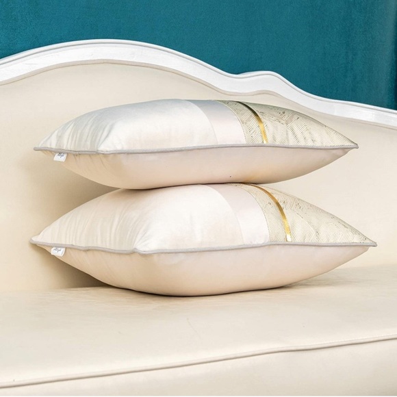 Luxury Home | Luxe Beige Modern Velvet & Jaquard Chevron Throw Pillow Cover - Picture 5 of 7